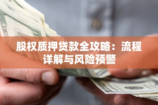 武汉股权质押贷款全攻略：流程详解与风险预警