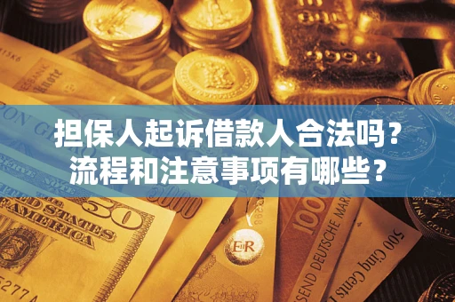 武汉担保人起诉借款人合法吗？流程和注意事项有哪些？