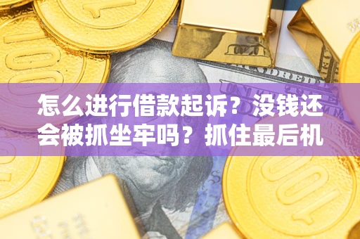 武汉怎么进行借款起诉？没钱还会被抓坐牢吗？抓住最后机会！