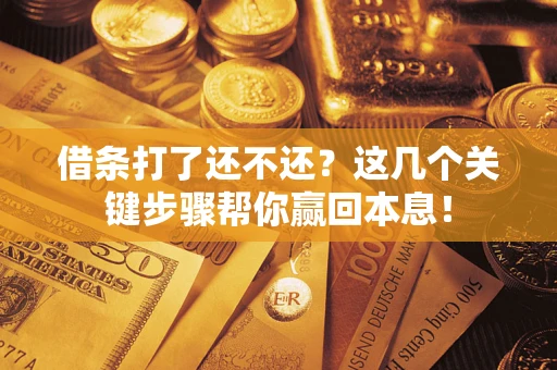 武汉借条打了还不还？这几个关键步骤帮你赢回本息！