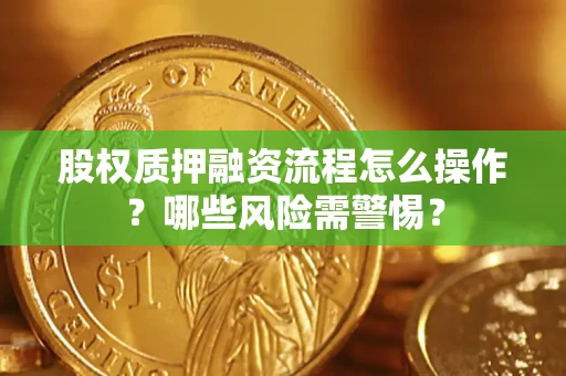 武汉股权质押融资流程怎么操作？哪些风险需警惕？