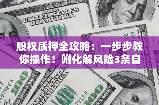 武汉股权质押全攻略：一步步教你操作！附化解风险3条自救法则