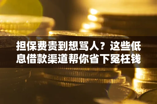 武汉担保费贵到想骂人？这些低息借款渠道帮你省下冤枉钱