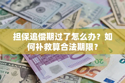 武汉担保追偿期过了怎么办？如何补救算合法期限？