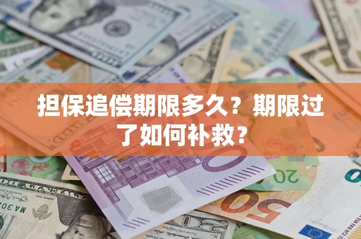 武汉担保追偿期限多久？期限过了如何补救？