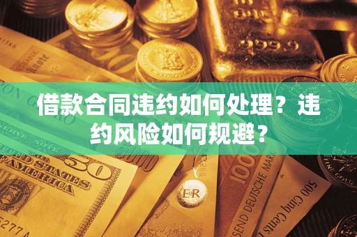 武汉借款合同违约如何处理？违约风险如何规避？