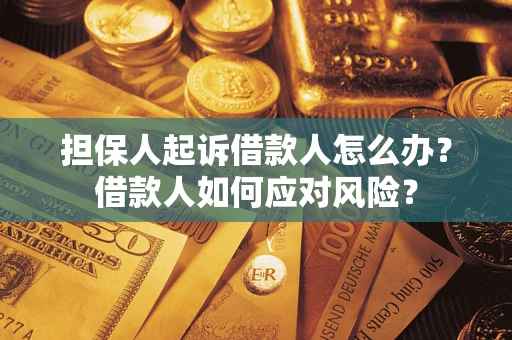 武汉担保人起诉借款人怎么办？借款人如何应对风险？