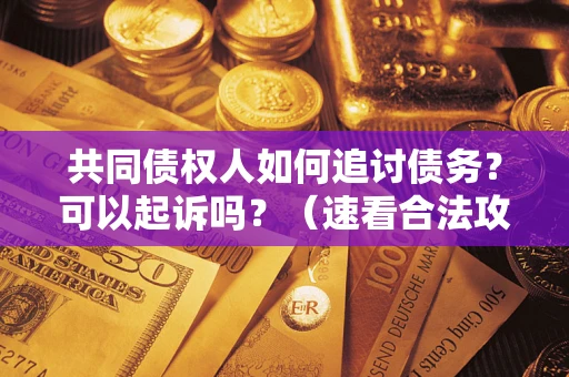 武汉共同债权人如何追讨债务？可以起诉吗？（速看合法攻略）