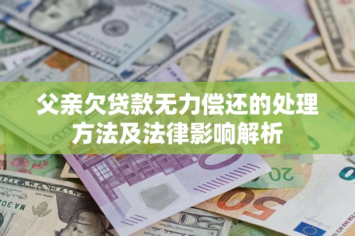 武汉父亲欠贷款无力偿还的处理方法及法律影响解析