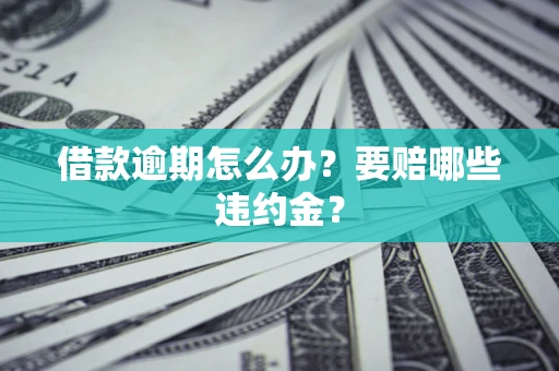 武汉借款逾期怎么办？要赔哪些违约金？